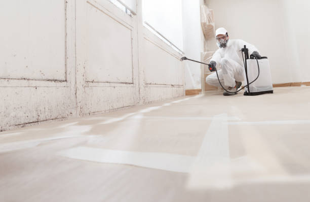24/7 Emergency Commercial Mold Remediation experts in Itasca, TX